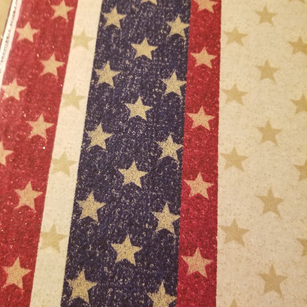 Cloth Face Mask w/ Silver/Copper Filters - Patriot - Picture 6 of 6